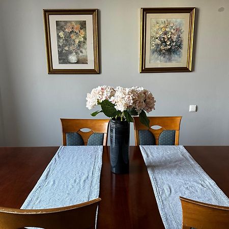 Apartament ムィスウォヴィツェ エクステリア 写真
